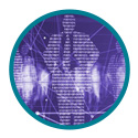 data webinar