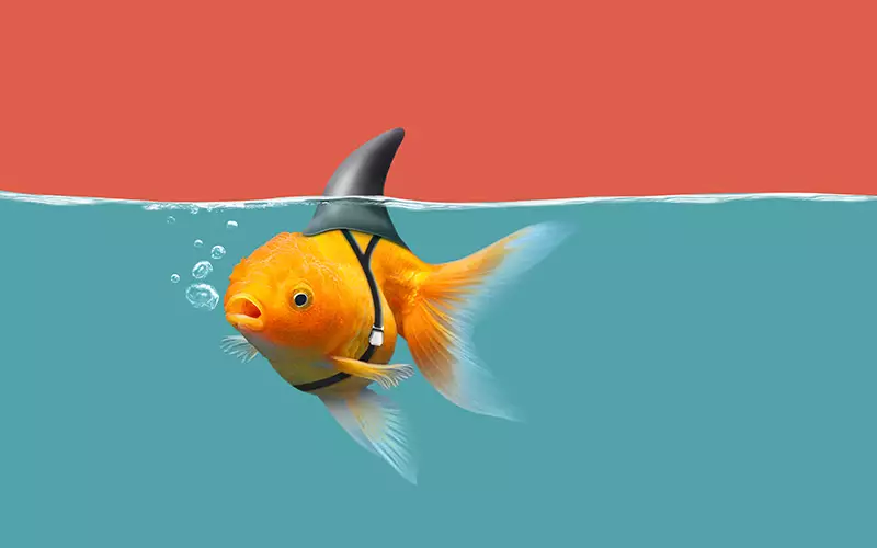 The Digital Gatekeeper - a fish with big horn